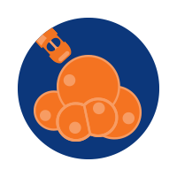 fatcell image